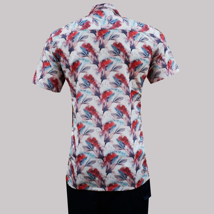zoomimage