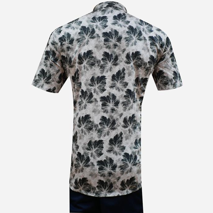 zoomimage