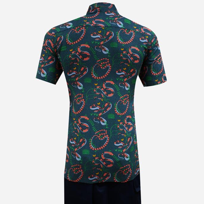 zoomimage