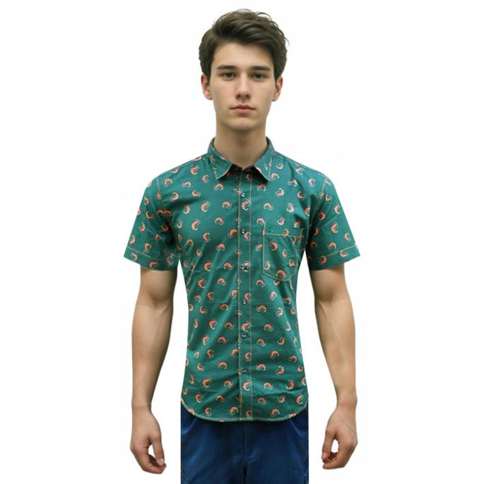 zoomimage