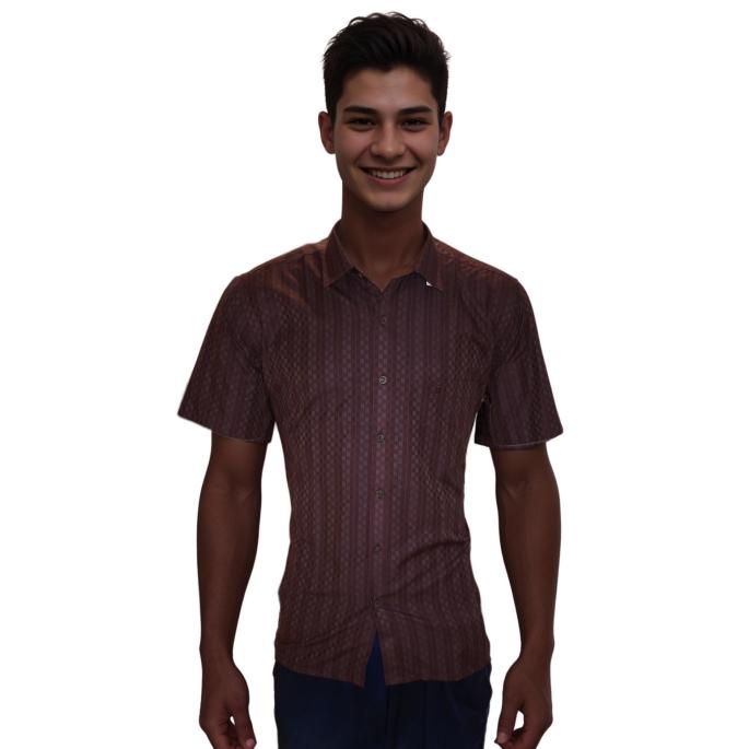 zoomimage