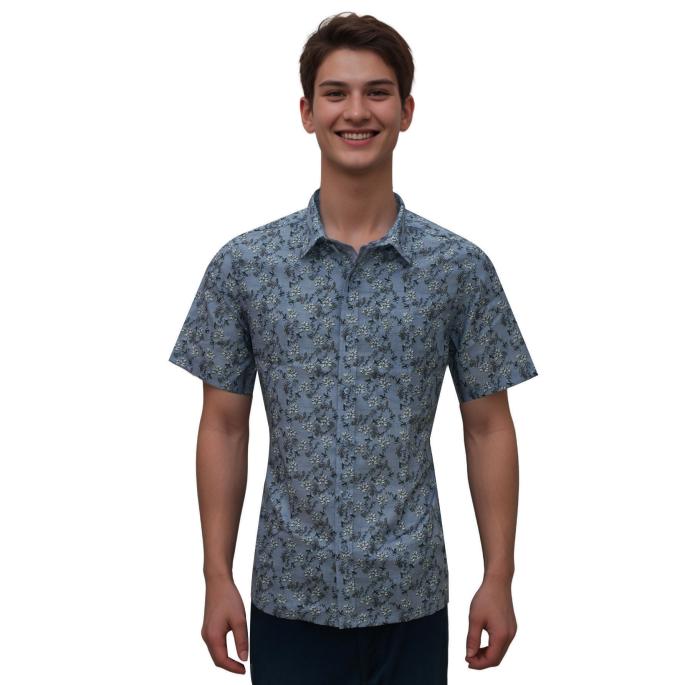 zoomimage