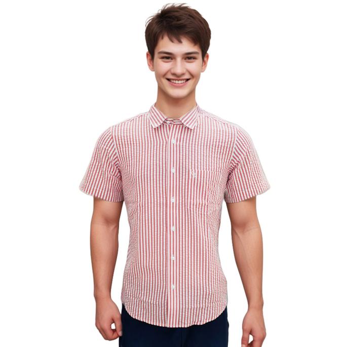 zoomimage