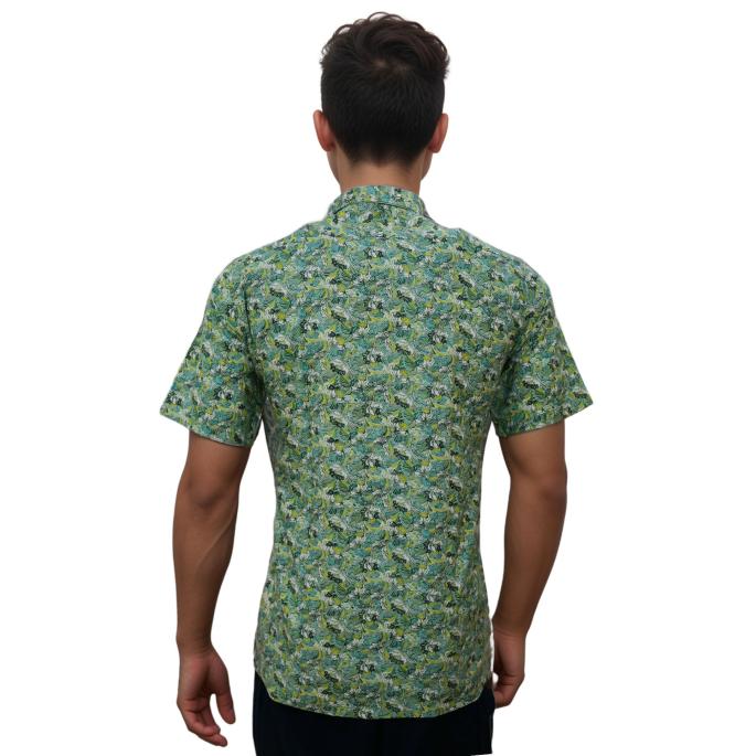 zoomimage