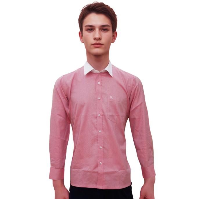 zoomimage