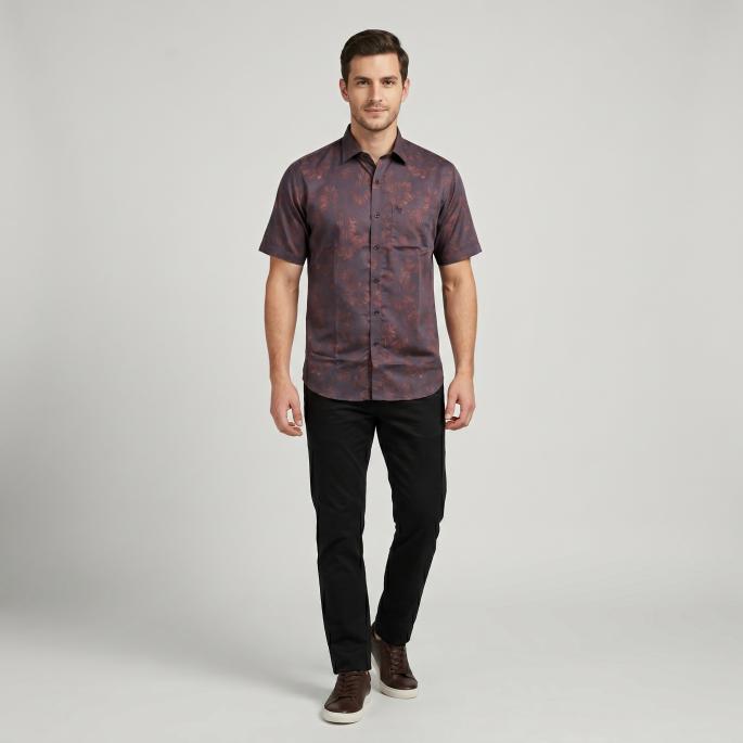 zoomimage