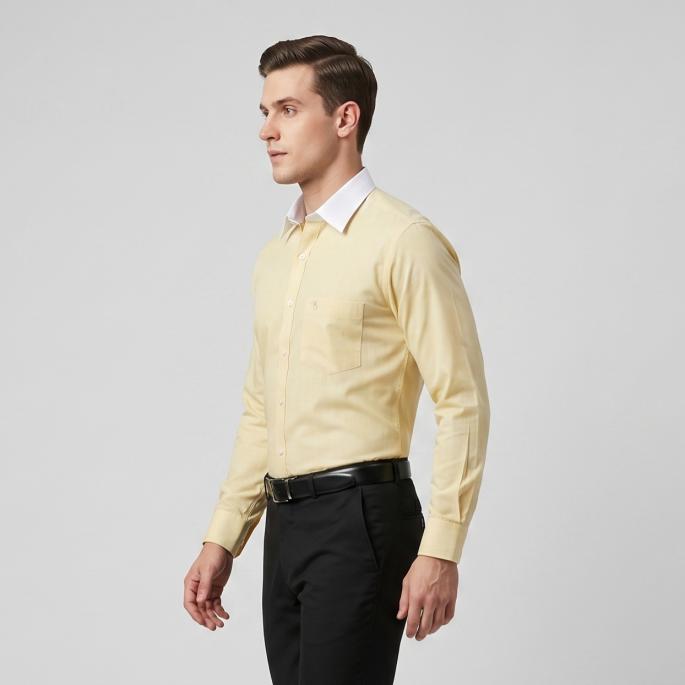zoomimage