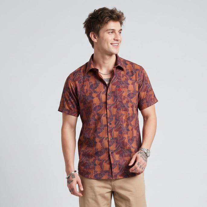 zoomimage