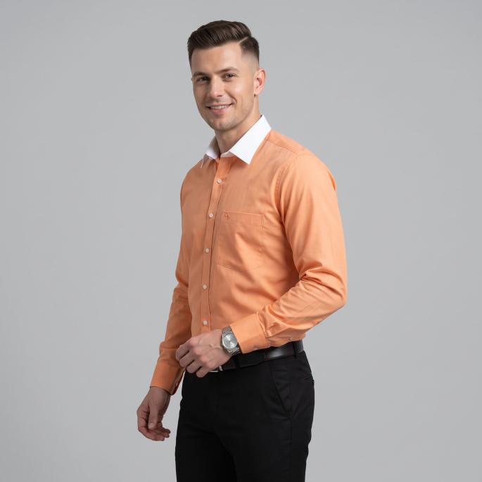 zoomimage