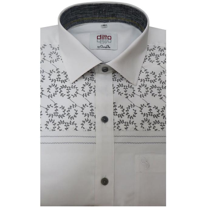 zoomimage