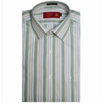 Stripes Green Shirt : Trending