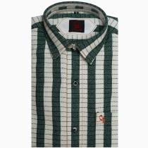 Stripes Green Shirt : Ditto