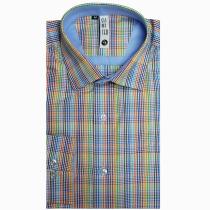 Checks Green Shirt : Slim