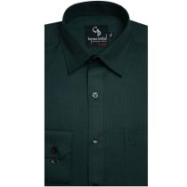 Stripes Light Green Shirt : Business