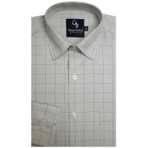 Checks Light Green Shirt : Business