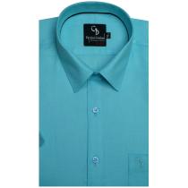 Plain Blue Shirt : Business