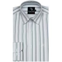 Stripes Green Shirt : Business