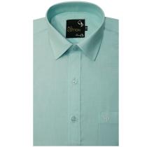 Plain Light Green Shirt : Business