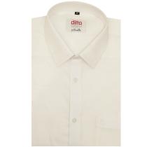 Embroidered White Shirt : Ditto