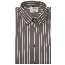 Stripes Gray Shirt : Ditto