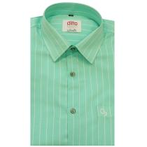 Stripes Green Shirt : Ditto