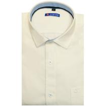 Plain White Shirt : Slim
