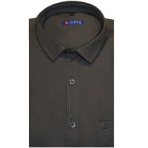 Plain Gray Shirt : Slim