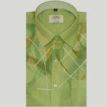 Handpainted Green Shirt : Ditto