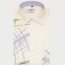 Handpainted White Shirt : Ditto