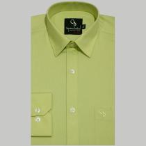 Plain Light Green Shirt : Business