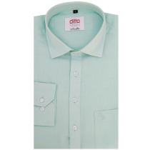 Plain Green Shirt : Ditto