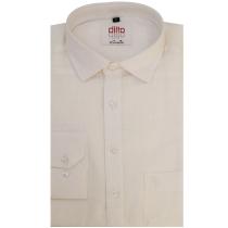 Plain White Shirt : Ditto