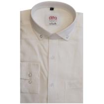 Plain White Shirt : Ditto