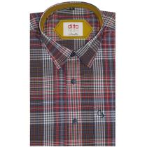 Checks Blue Shirt : Ditto