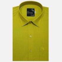 Plain Green Shirt : Business