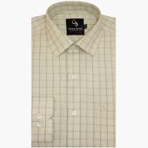 Checks Light Green Shirt : Business