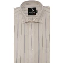 Stripes Blue Shirt : Business