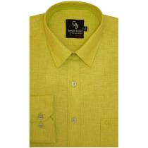 Plain Light Green Shirt : Business