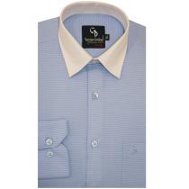 Plain Blue Shirt : Business