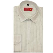 Stripes Blue Shirt : Business
