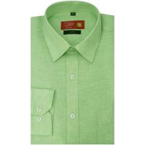 Plain Light Green Shirt : Business