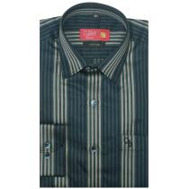 Stripes Green Shirt : Business