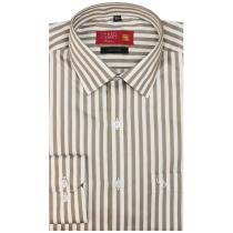 Stripes Green Shirt : Business