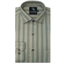 Stripes Green Shirt : Business