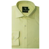 Self Design Light Green Shirt : Business