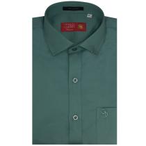 Plain Green Shirt : Business