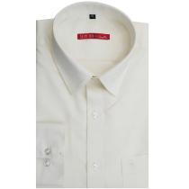 Plain White Shirt : Slim