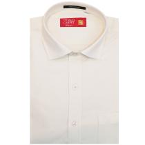 Plain Cream Shirt : Business