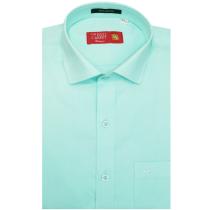 Plain Light Green Shirt : 