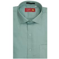 Plain Green Shirt : Business